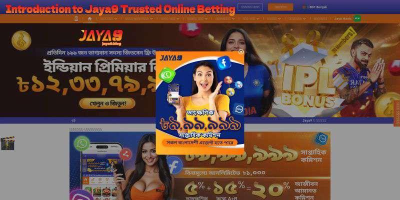 Crash Games vs Live Casino Which is More Exciting